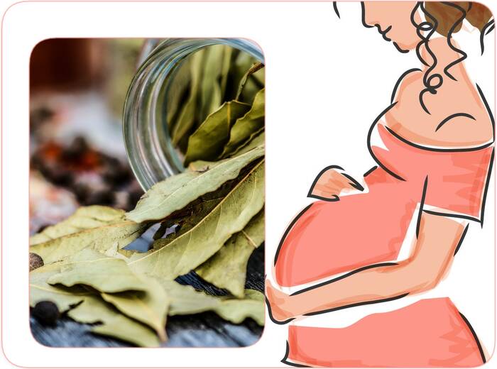 Bay leaves to get pregnant quickly