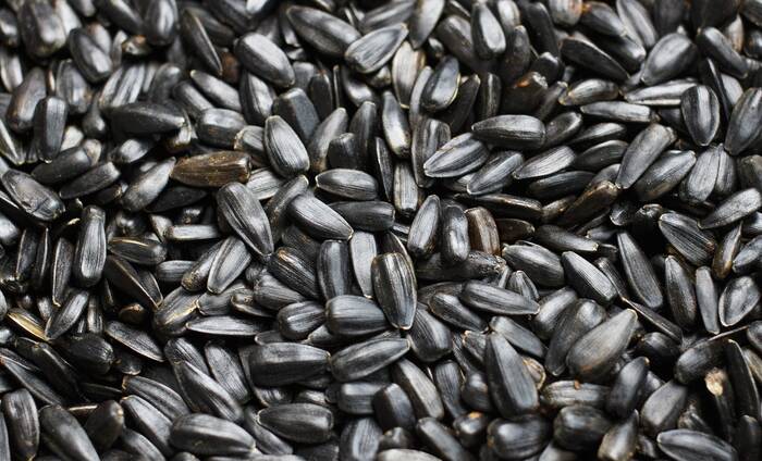 sunflower seeds