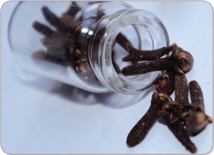Side effects of Cloves for Women