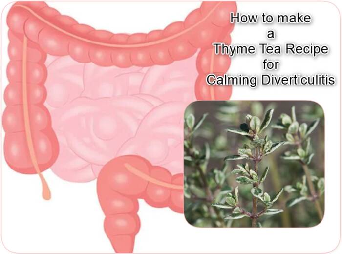 How to make thyme tea recipe for calming diverticulitis