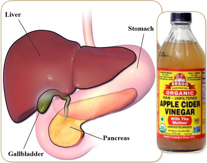 is apple cider vinegar good for pancreas