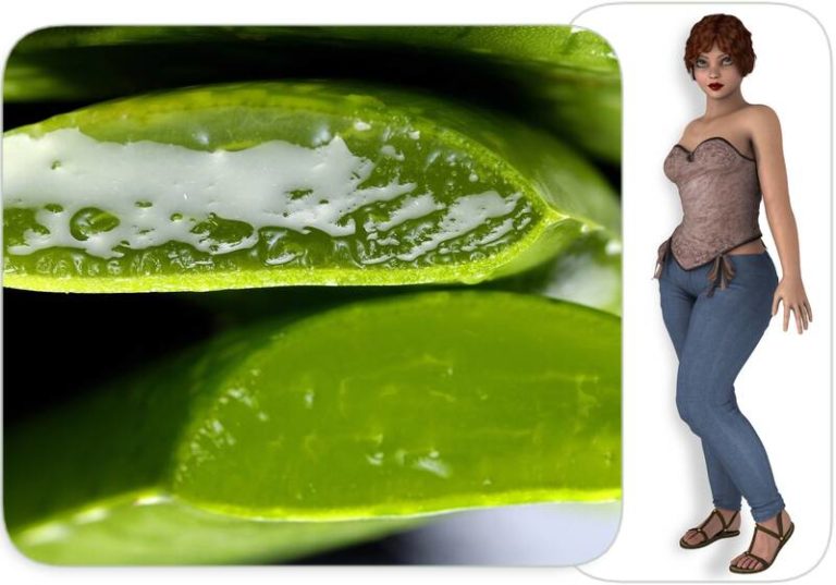 Aloe Vera for Flat Stomach [Recipes & Use] Herbs And Plants For