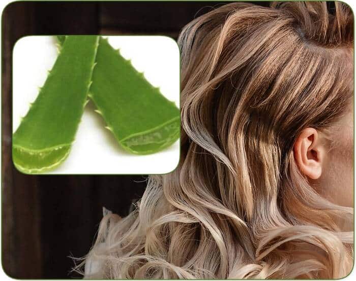 How to Make Aloe Vera Gel for Hair Growth