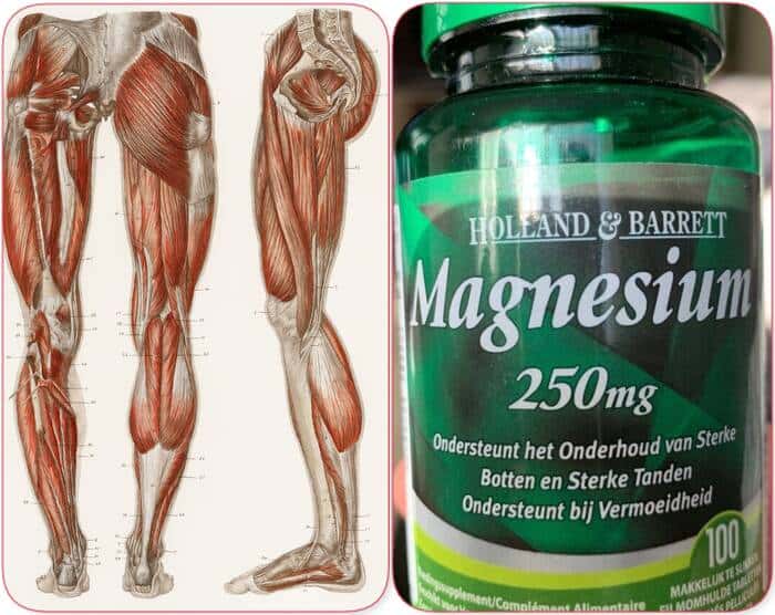 magnesium benefits for muscles