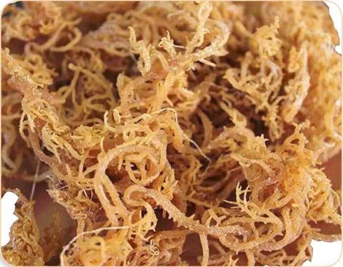 27 potential health benefits of Sea Moss