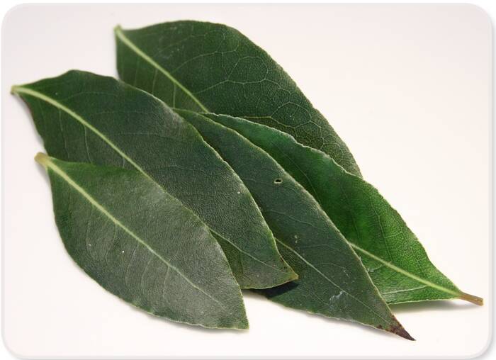 How to Use Bay Leaf