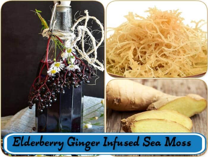 Elderberry Ginger Infused Sea Moss Gel Easy Recipe