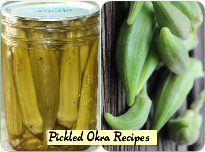 Pickled Okra Recipes