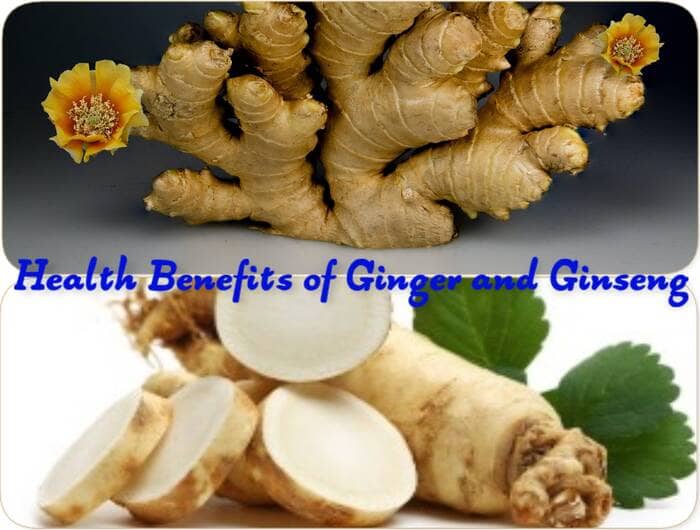 health benefits of ginger and ginseng