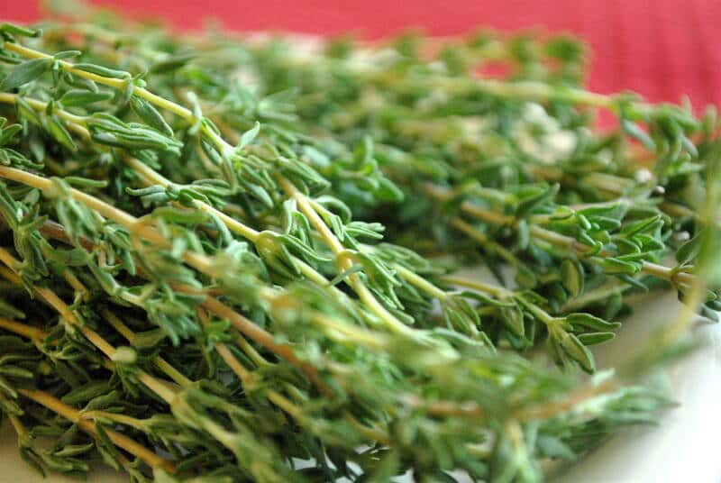 Can You Smoke Thyme? Herbs And Plants For Better Health